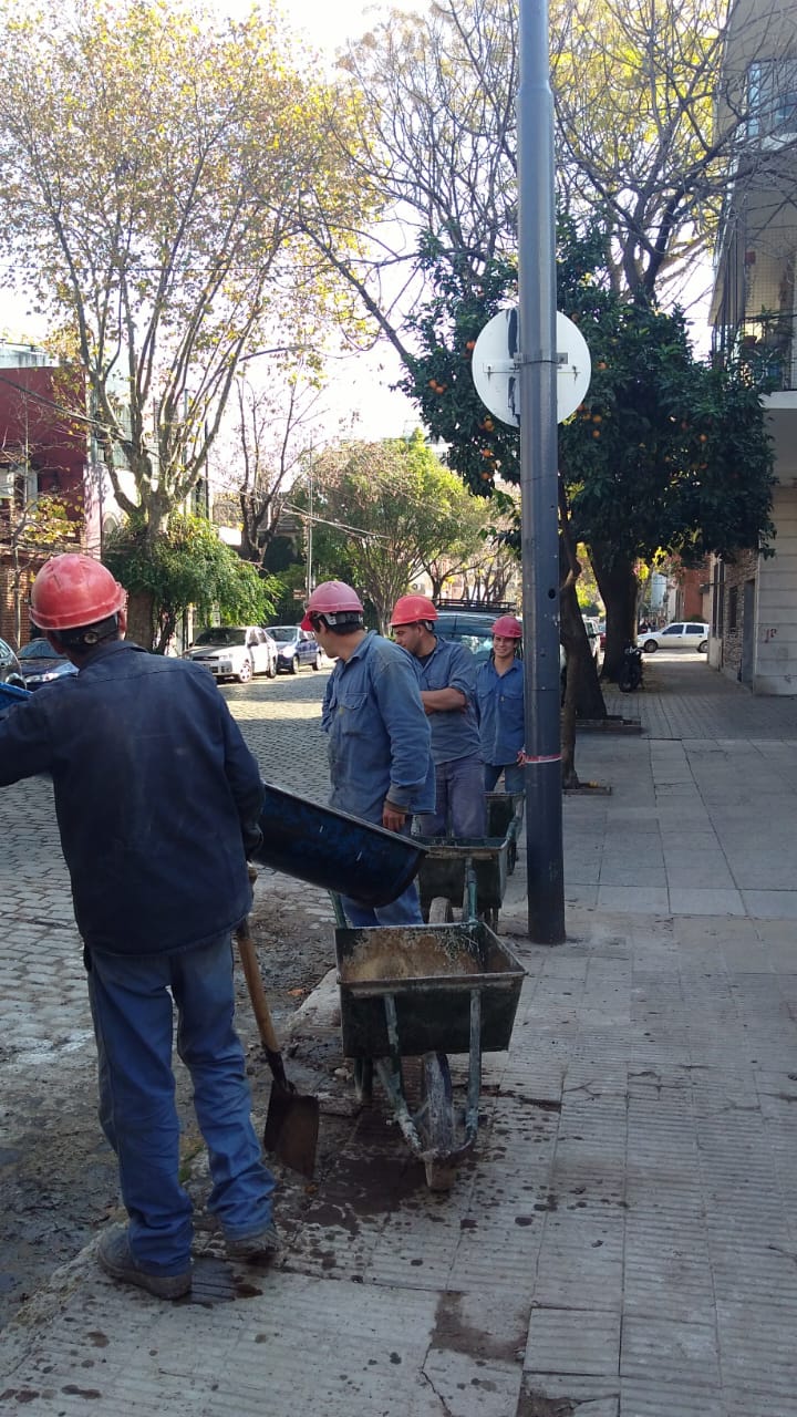 Estructura de hormigón armado en construcción